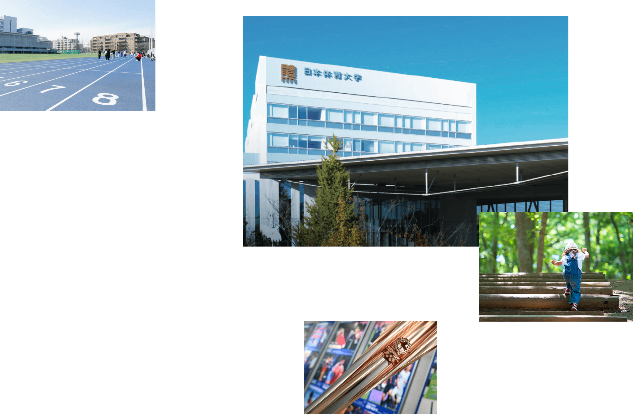 研究活動ポータルサイト | 日本体育大学
