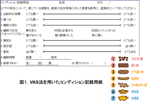 図.1 VAS法を用いたコンディション記録用紙